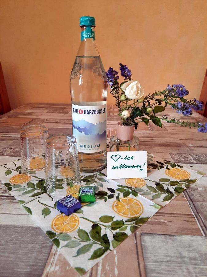 Ferienwohnung Zur Alten Post Lützen Zewnętrze zdjęcie